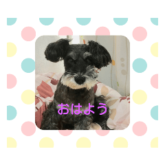 genki_20190130201919