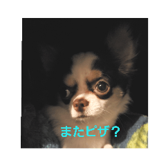 toshiki_20190121235438