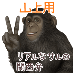 Yamagami Monkey's real myouji