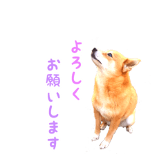 naka_20190116024927