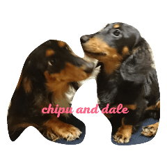 Chipu and Dale