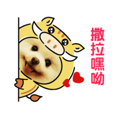 請勿拍打餵食肥嘟娃