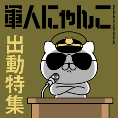 Military cat 13 (dispatch)