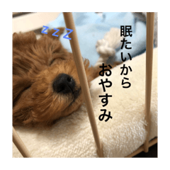 yuina_20190206023552