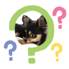 m.aoki_20190201230000 – LINE stickers | LINE STORE