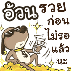 Name Auon (Cute Dog)