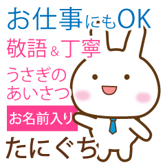 taniguchi,polite greetings Rabbit