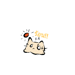 cute cat_20190213153156