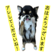 cyoco_20190213210759