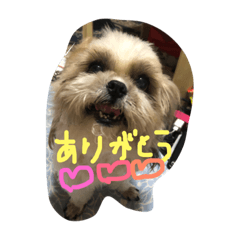 hiyori_2019020920263