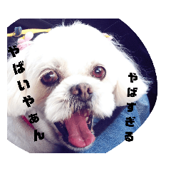 ayumi_20190213220313