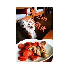 甜甜 甜甜