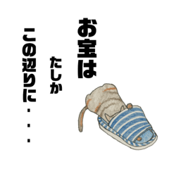 acotonecco6