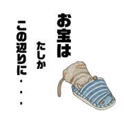 acotonecco6