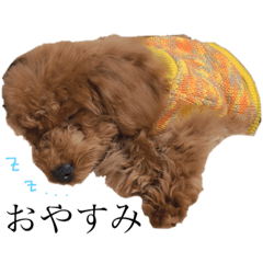 moka_20190208005107