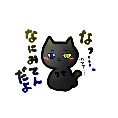 tundere black cat
