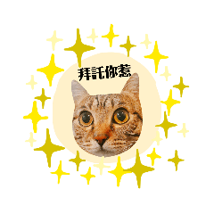 喵喵の精選語錄