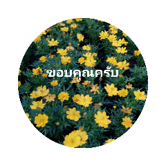 Moo_20190216171411