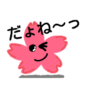 Sakurachan 2