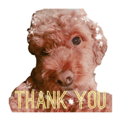 HANNAH_20190214015213