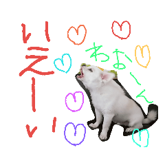 yaetokarennonichijyoudesuyo
