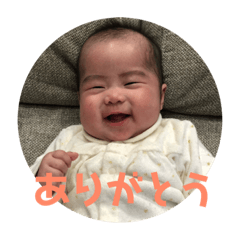 Kurumi_20190214120539