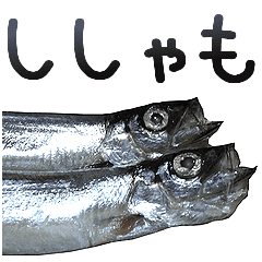 Capelin Is Shishamo Line Stickers Line Store