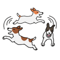 毎日元気にジャックラッセルテリア Line スタンプ Line Store 毎日元気にジャックラッセルテリア Line スタンプ Line Store