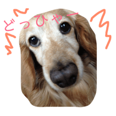 Tommy_20190213173011