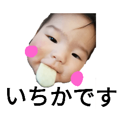 risa_20190211222954532563