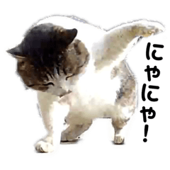 nora_20190214213754