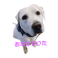 andy_20190214235152