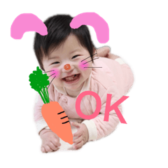 hachi_20190215134142