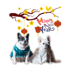法鬥豆豆&妹妹