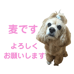 mugimugi stamp !