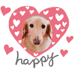 Momochan Mダックス 3 リアクション編 Line スタンプ Line Store