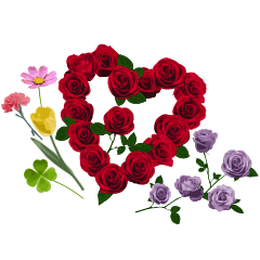 Flower Meanings (Rose, Tulip, Carnation)