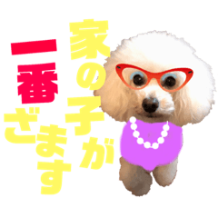 CoochanChannel_20190215234514