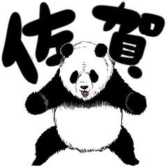 tanuchan Saga geki panda