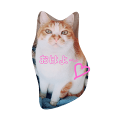 chiro_20190216110720