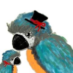 Elegant gentleman parrot