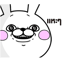 Rabbit100% ดุ๊กดิ๊กแรง