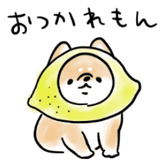 Shiba Inu Dog Gag Line Stickers Line Store