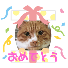 BOO_20190216170629