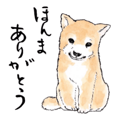 사랑스러운 강아지. 일본의 서예.