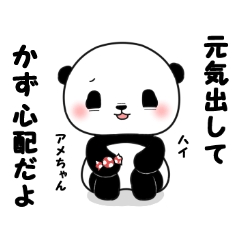 Kazu of panda