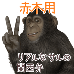 Akagi Monkey's real myouji