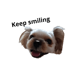 vivi_20190218163358