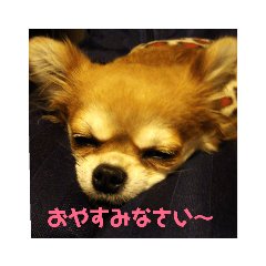 miko_20190215233734