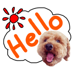 愛犬 あい助君 日常スタンプ